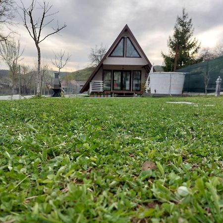 Cabana La Bica Magureni Exteriör bild