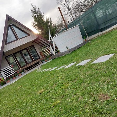 Cabana La Bica Magureni Exteriör bild