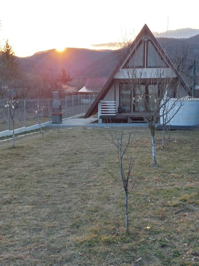 Cabana La Bica Magureni Exteriör bild