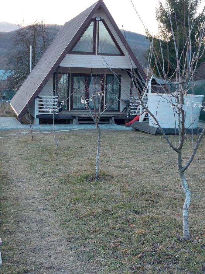 Cabana La Bica Magureni Exteriör bild