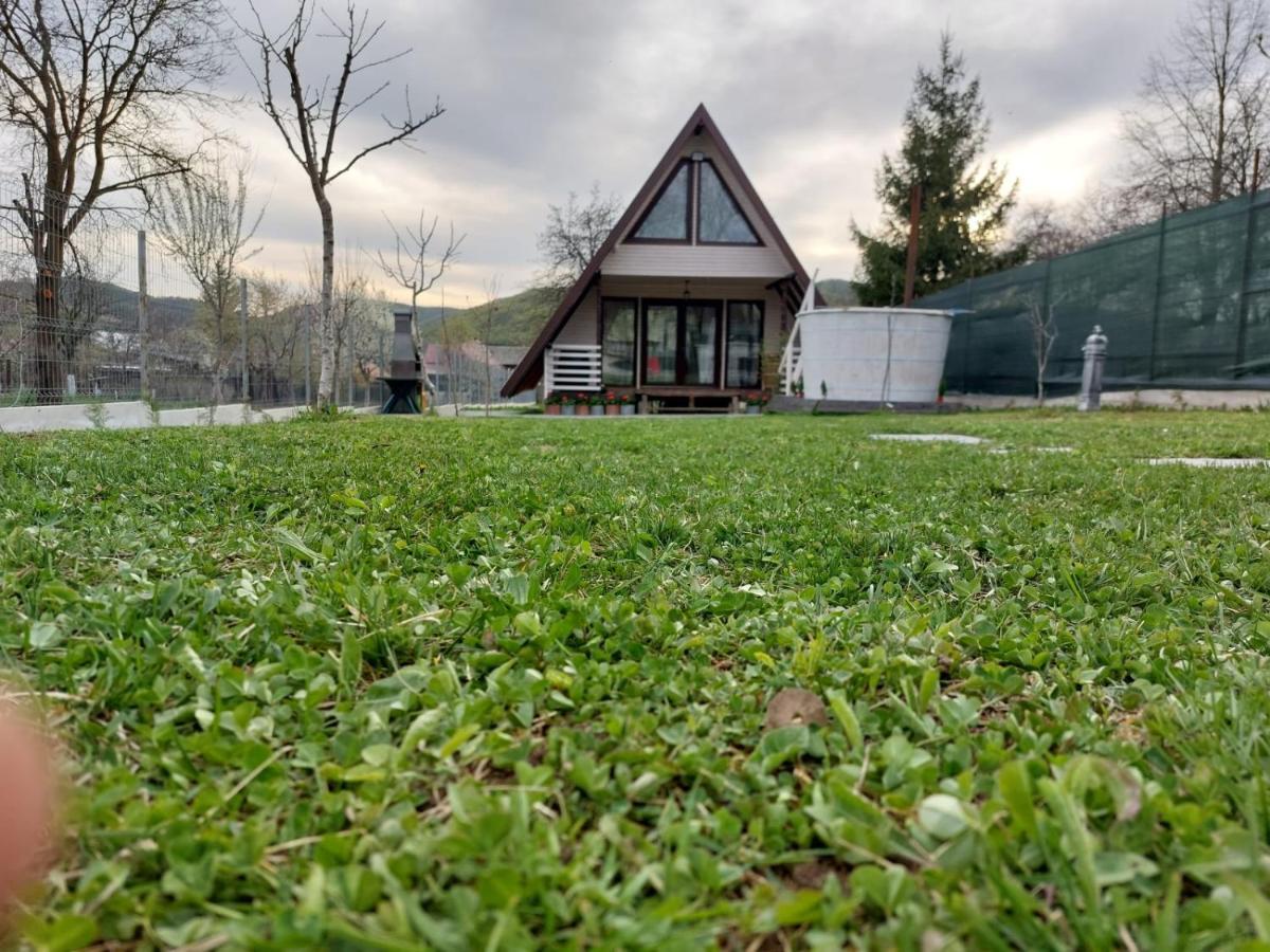 Cabana La Bica Magureni Exteriör bild